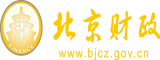 插插操北京市财政局