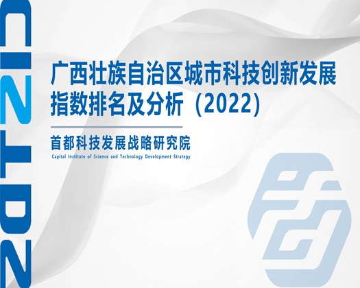 草逼播放【成果发布】广西壮族自治区城市科技创新发展指数排名及分析（2022）